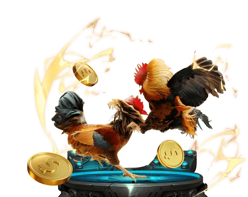 Cá cược thể thao trên ứng dụng Kubet